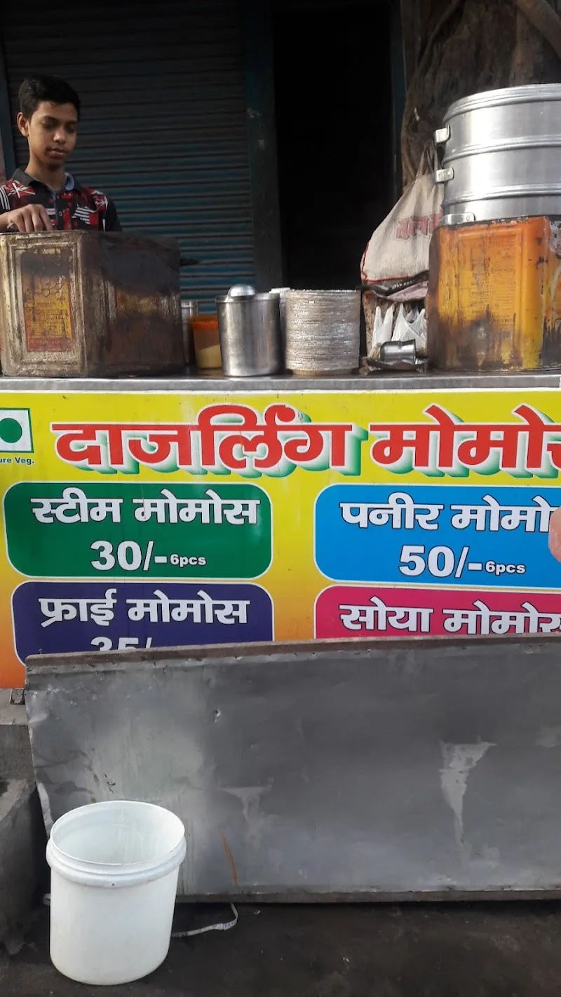 Darjeeling Momos, Geeta Colony, Preet Vihar, New Delhi — photo 7