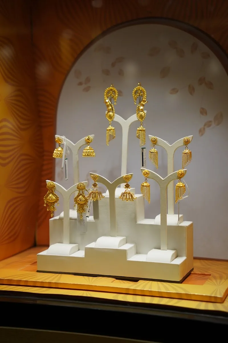 Tanishq Photos 19