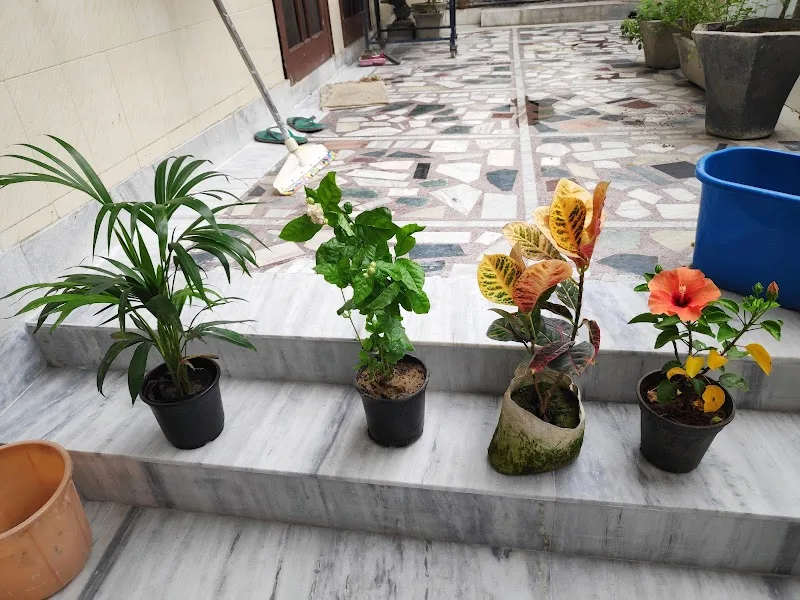 Woodland, DLF Colony, Rohtak — photo 6