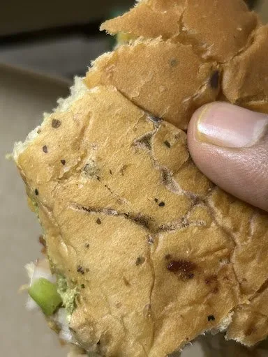 BOOM Sandwich - Explosion of Flavours, Sector 10, Ulwe, Navi Mumbai — photo 6