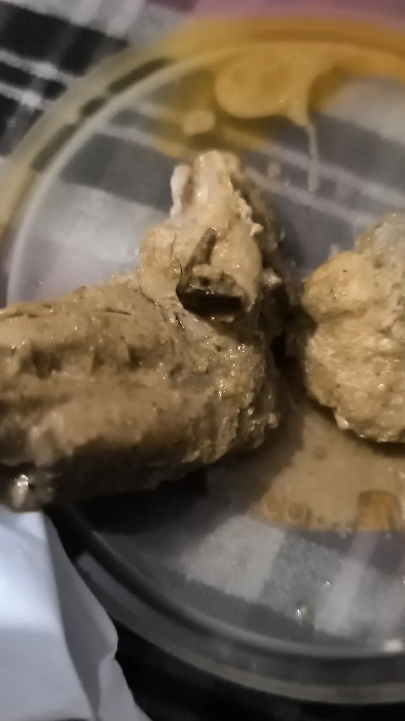 Chick n Grill, Punjabi Bagh, New Delhi — photo 3
