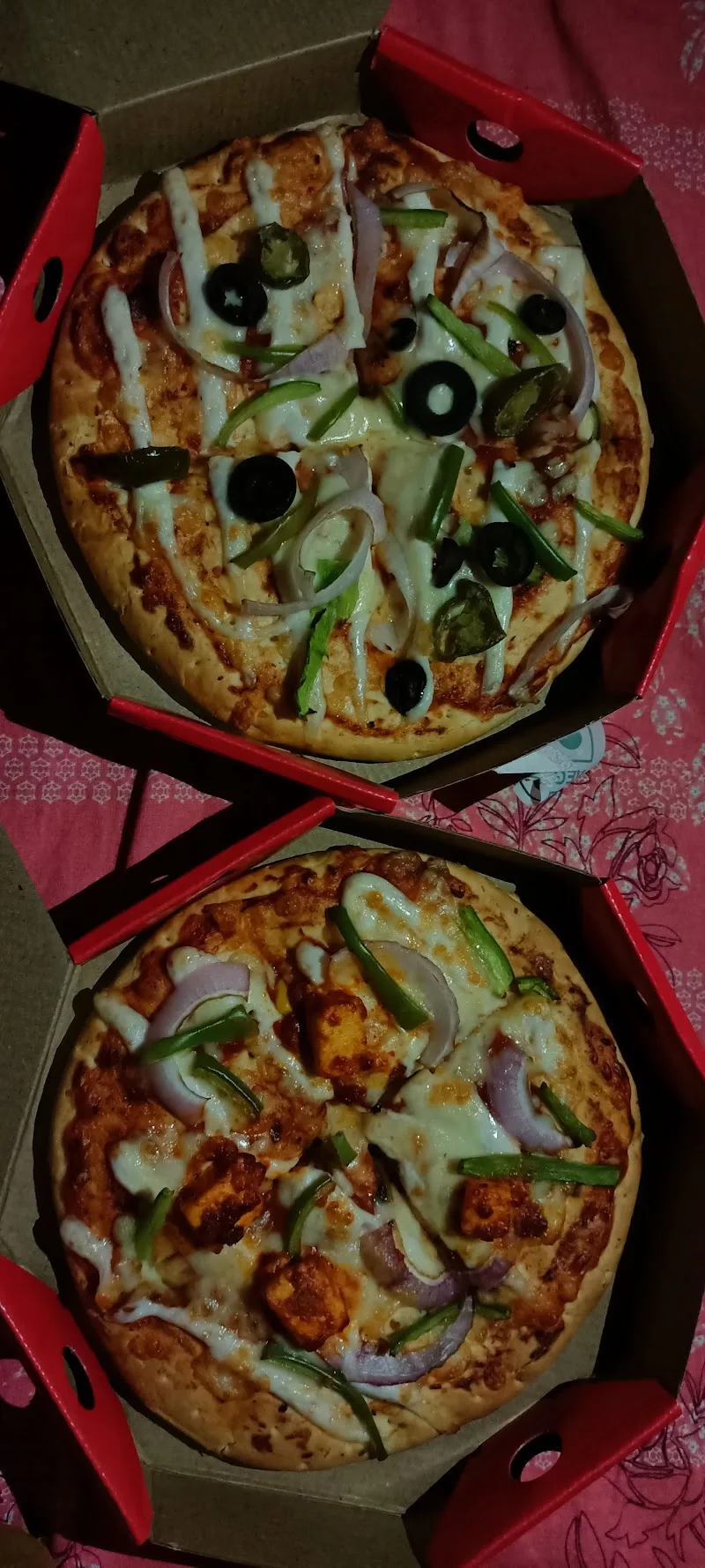 Thinsane Pizza by Oven Story, Hazratganj, Lucknow — photo 7